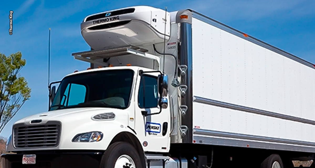 Operação Verão: para evitar perdas, transporte refrigerado exige atenção redobrada e tecnologia avançada 